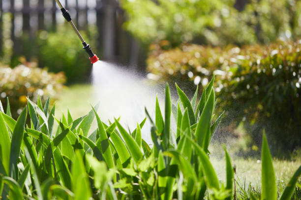 Tamper-Resistant Bait Stations for Rodents in East Rancho Dominguez