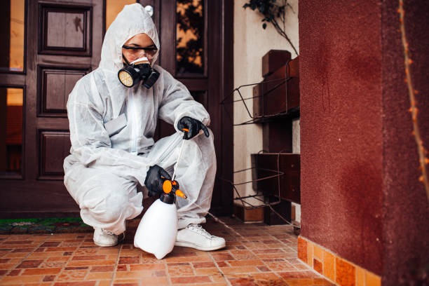 Attic and Crawl Space Rodent Treatment in East Rancho Dominguez